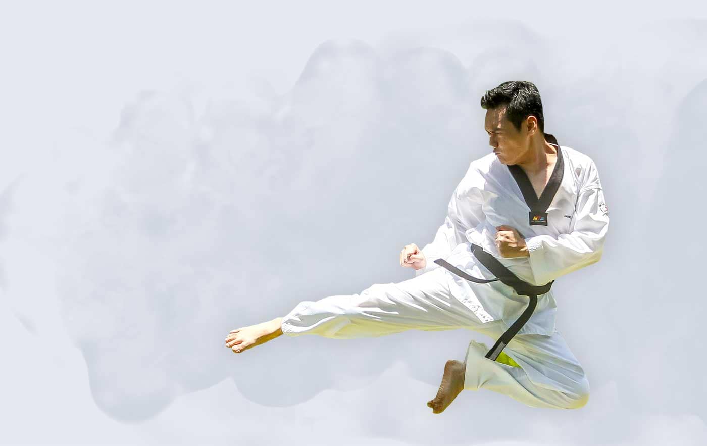 martial arts banner martial arts banner